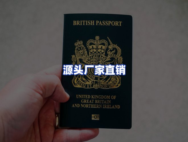 专业团队